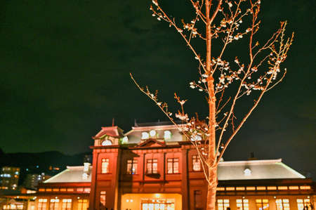 Cherry blossoms blooming at Mojiko Station at nightの写真素材