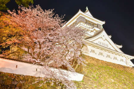 Night Cherry Blossoms and Kokura Castle in Katsuyama Parkのeditorial素材