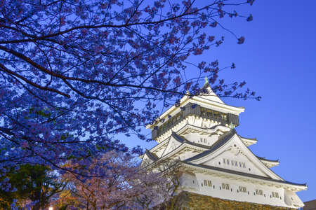 Night Cherry Blossoms and Kokura Castle in Katsuyama Parkのeditorial素材