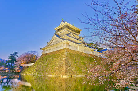 Night Cherry Blossoms and Kokura Castle in Katsuyama Parkのeditorial素材