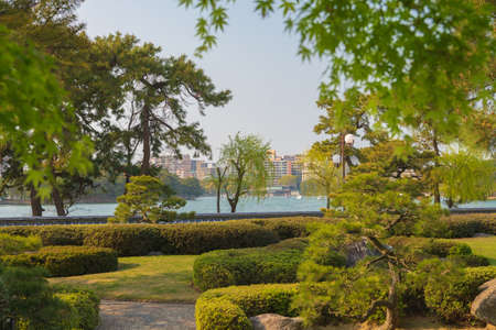 Urban Oasis Spring Ohori Park Fukuoka, Japanの写真素材