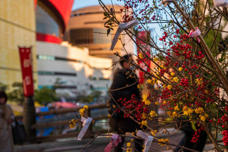 New Year's Visit to Yasaka Shrine in Kitakyushu City, Fukuoka Prefectureの写真素材
