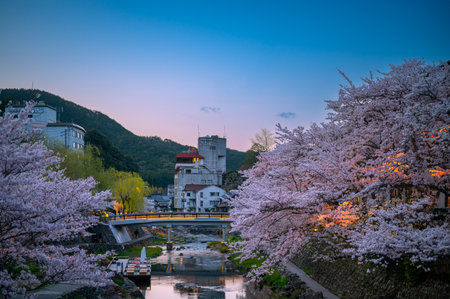 Nagato Yumoto Onsen with beautiful spring evening and night cherry blossomsのeditorial素材