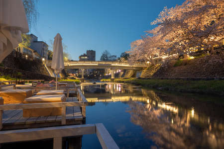 Nagato Yumoto Onsen with beautiful spring evening and night cherry blossomsのeditorial素材