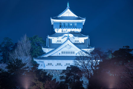 Lit up Kokura Castleのeditorial素材
