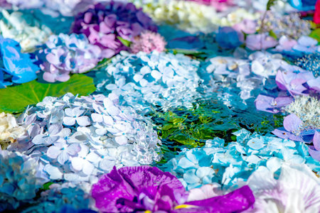 Summer Tradition of Miyajitake Shrine Hanatemizu Fukutsu City, Fukuoka Prefectureの写真素材