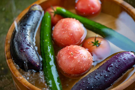 Summer vegetables chilled in hot summerの写真素材