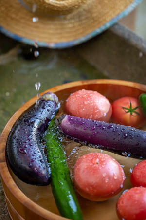 Summer vegetables chilled in hot summerの写真素材