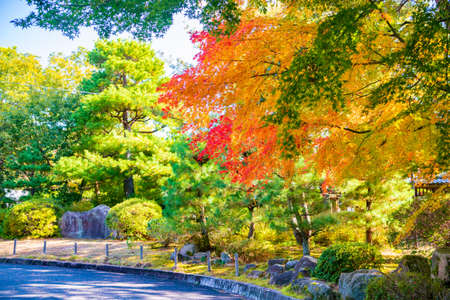 Autumn garden of the former Choshu Domain lord Mohri family in Hofu City, Yamaguchi Prefecture, Japan photographed on November 17, 2021の写真素材