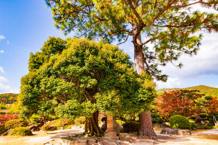 The summer garden of the former Choshu Domain lord Mohri family in Hofu City, Yamaguchi Prefecture, Japan, photographed on October 15, 2021の写真素材