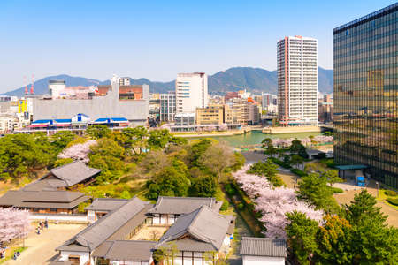 Ogura Castle in spring and cherry blossoms in Katsuyama Parkのeditorial素材