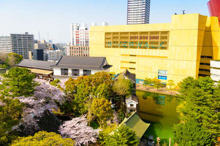 Ogura Castle in spring and cherry blossoms in Katsuyama Parkのeditorial素材