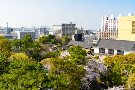Ogura Castle in spring and cherry blossoms in Katsuyama Parkのeditorial素材