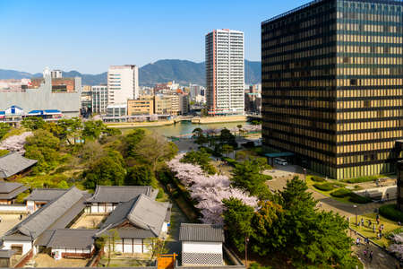 Ogura Castle in spring and cherry blossoms in Katsuyama Parkのeditorial素材
