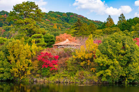 Autumn sunny Japanese garden of the former Choshu Domain lord Mohri family in Hofu City, Yamaguchi Prefecture, Japan photographed on November 17, 2021のeditorial素材