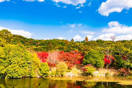 Autumn sunny Japanese garden of the former Choshu Domain lord Mohri family in Hofu City, Yamaguchi Prefecture, Japan photographed on November 17, 2021のeditorial素材
