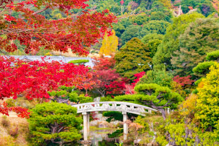 Autumn sunny Japanese garden of the former Choshu Domain lord Mohri family in Hofu City, Yamaguchi Prefecture, Japan photographed on November 17, 2021のeditorial素材