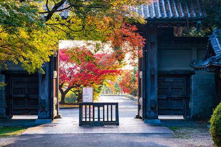 Autumn garden of the former Choshu Domain lord Mohri family in Hofu City, Yamaguchi Prefecture, Japan photographed on November 17, 2021のeditorial素材