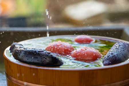 Summer vegetables chilled in hot summerの写真素材