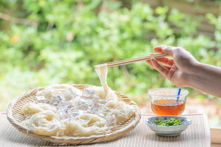 Summer staple cold noodlesの写真素材