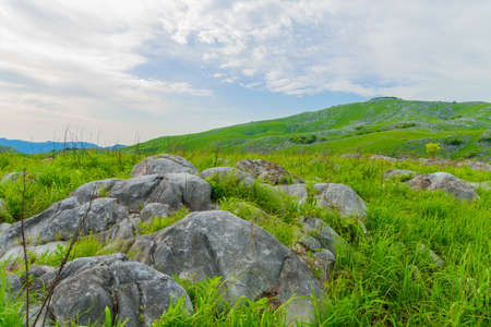 Hiraodai with fresh greenery in early summerの写真素材