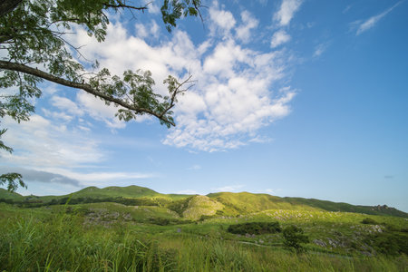Hiraodai in the summer with a refreshing blue sky (Kitakyushu City, Fukuoka Prefecture)の写真素材