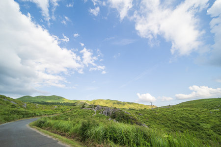 Hiraodai in the summer with a refreshing blue sky (Kitakyushu City, Fukuoka Prefecture)の写真素材