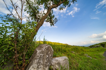 Hiraodai in early summer with a refreshing blue sky (Kitakyushu City, Fukuoka Prefecture)の写真素材