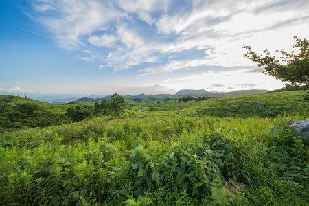 Hiraodai in early summer with a refreshing blue sky (Kitakyushu City, Fukuoka Prefecture)の写真素材