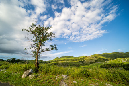 Hiraodai in early summer with a refreshing blue sky (Kitakyushu City, Fukuoka Prefecture)の写真素材