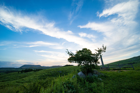 Hiraodai in early summer with a refreshing blue sky (Kitakyushu City, Fukuoka Prefecture)の写真素材