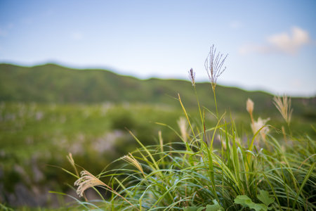 Refreshing blue sky and Hiraodai in early autumn (Kitakyushu City, Fukuoka Prefecture)の写真素材