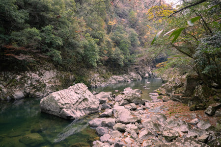Nagato Gorge in autumn with beautiful autumn leaves and valleyの写真素材