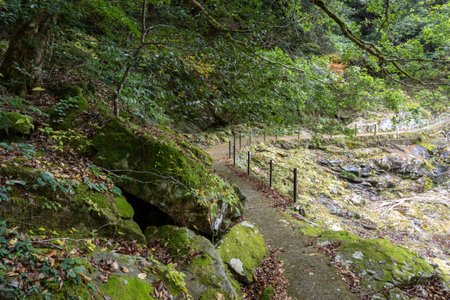 Nagato Gorge in autumn with beautiful autumn leaves and valleyの写真素材