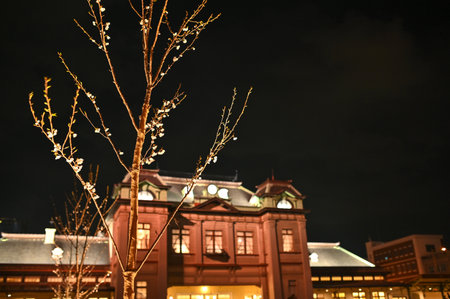 Cherry blossoms blooming at Mojiko Station at night Fukuoka Japanの写真素材