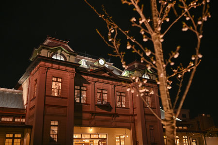 Cherry blossoms blooming at Mojiko Station at night Fukuoka Prefecture Japanの写真素材