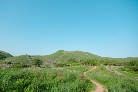 Hiking trail in the mountains with blue sky and green grass.の写真素材