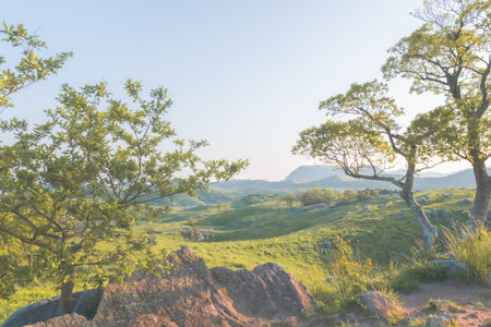 Hiraodai in early summer with a refreshing blue skyの写真素材