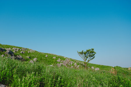 Mountain view with blue sky and green grass, natural background.の写真素材