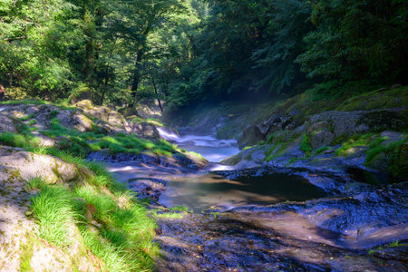 Spectacular summer view of the fantastic Kikuchi Valleyの写真素材