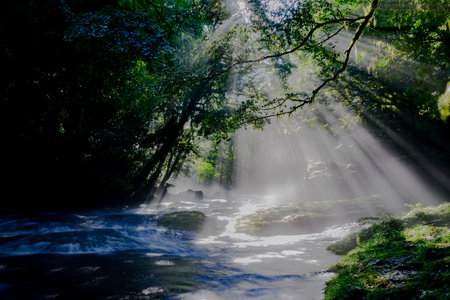 Superb view of summer: The mountain stream and light beams of the fantastic Kikuchi Valleyï¼Kumamoto Prefecture ,Japanの写真素材