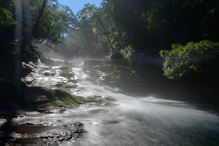 Superb view of summer: A refreshing morning in the Kikuchi Valley,Kumamoto Prefecture ,Japanの写真素材