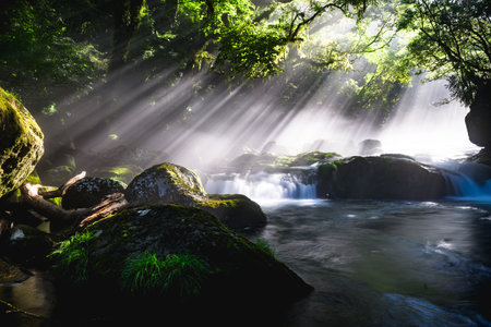 Spectacular summer scenery - fantastic rays of light at Kikuchi Valley, Japan, Kumamoto Prefectureの写真素材