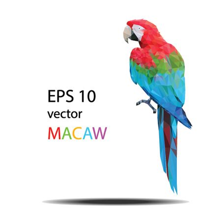 low poly vector illustration of Macawのイラスト素材