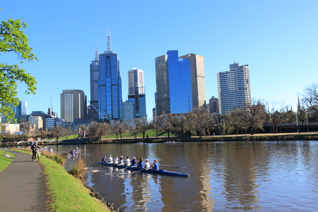 Melbourne Australia- August 31,2013, Local athletes training rowing in Yarra river on Sunday morning in Melbourne Australiaのeditorial素材