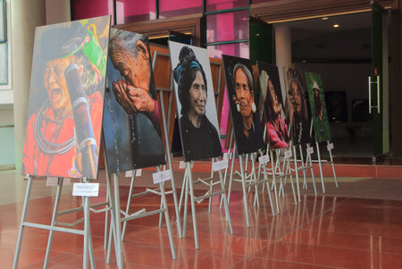Hanoi Vietnam - Novrember 22, 2016: Vietnamese Womans Museum. Vietnamese Womans Museum shows role...