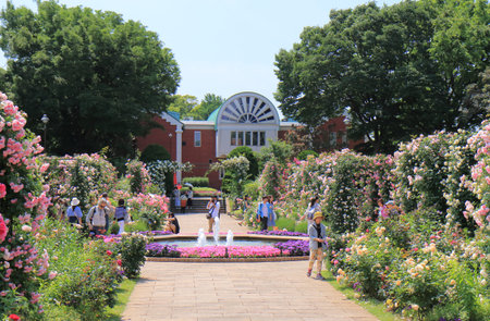 Yokohama Japan - May 28, 2017: People visit Minatonomieruoka Park in Yokohama Japan.のeditorial素材