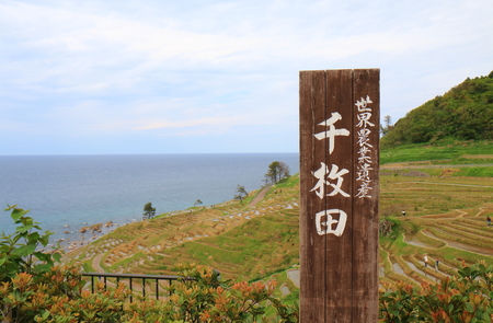 Ishikawa Japan - May 5, 2017: Senmaida Rice paddy terrace Wajima in Ishikawa Japan. Senmaida is the valley of 1000 rice paddies in Wajima Japan.のeditorial素材