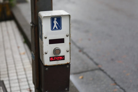 Pedestrian crossing Japan