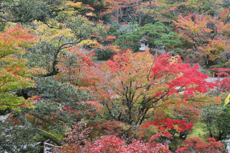 Natadera temple Autumn leaves Kanazawa Japan